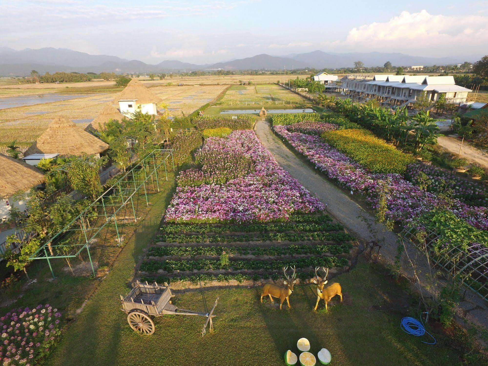 Phusanfah Resort Mae Taeng Luaran gambar