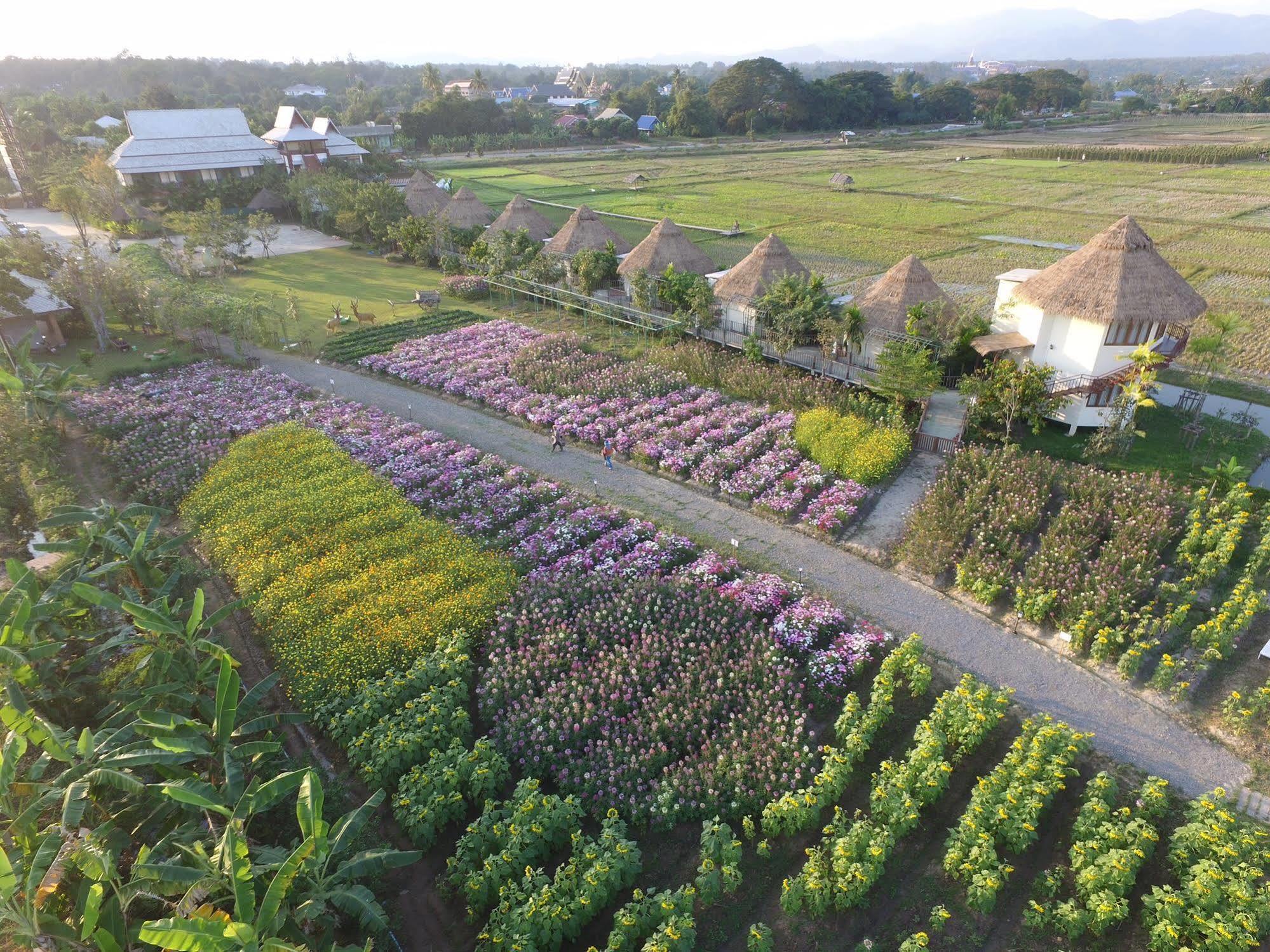 Phusanfah Resort Mae Taeng Luaran gambar